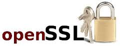 Heartbleed finally results in some resources for OpenSSL